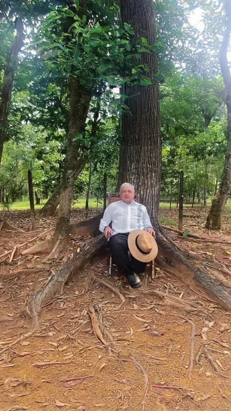 El regreso de  AMLO?…